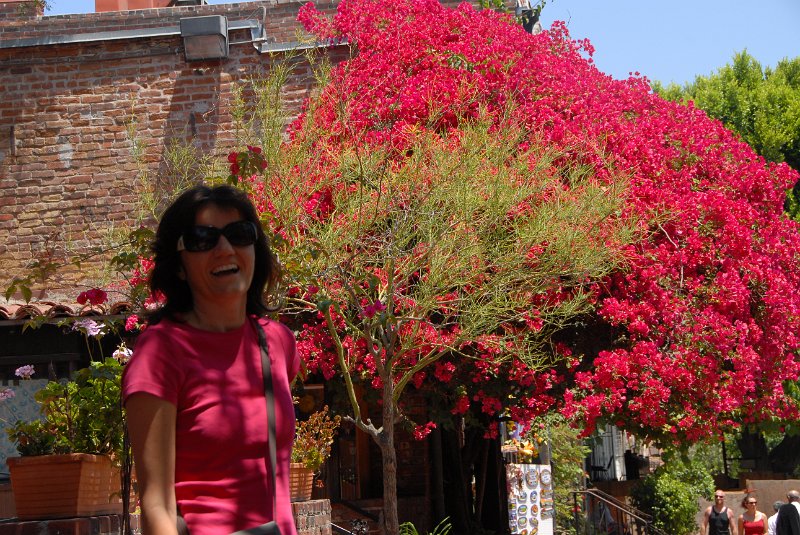 2011-07-24_Santa Monica_Tag30_048.JPG